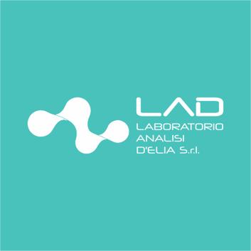 WhatsApp Image 2023-06-08 at 16.20.16